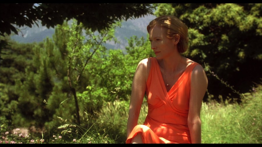 Risultati immagini per IO SONO L'AMORE FILM