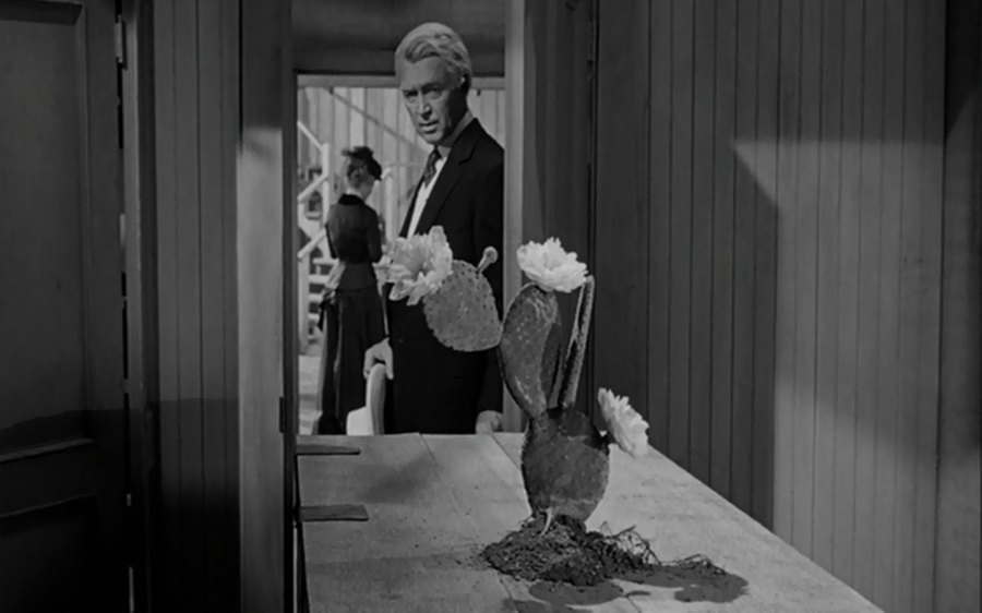 Risultati immagini per the man who shot liberty valance