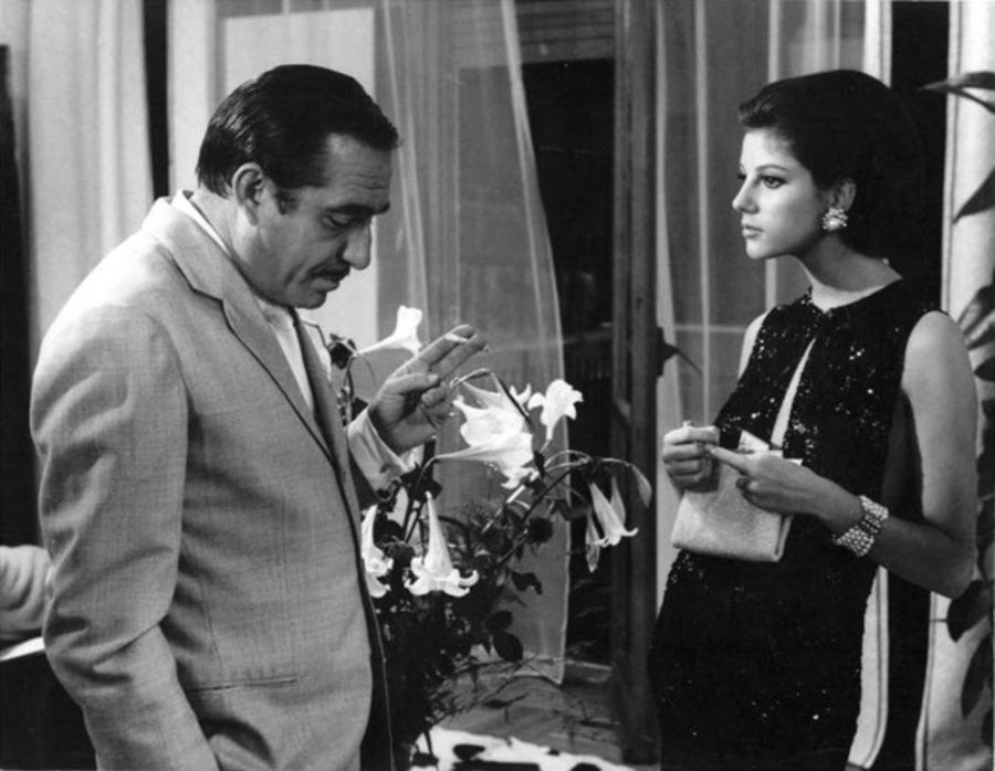 Risultati immagini per IO LA CONOSCEVO BENE tognazzi