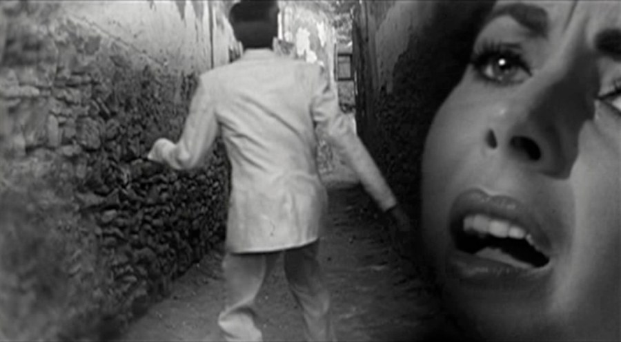 Risultati immagini per suddenly last summer