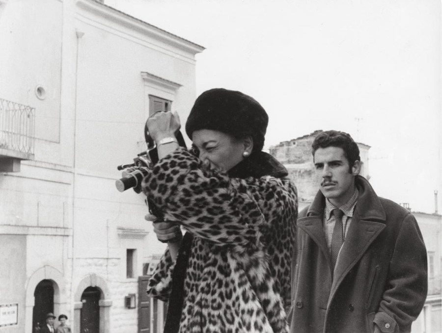 Risultati immagini per i basilischi